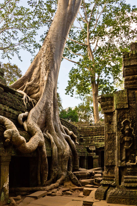 A horoszkópod megmondja, mi számodra az álom úticél - 2. rész