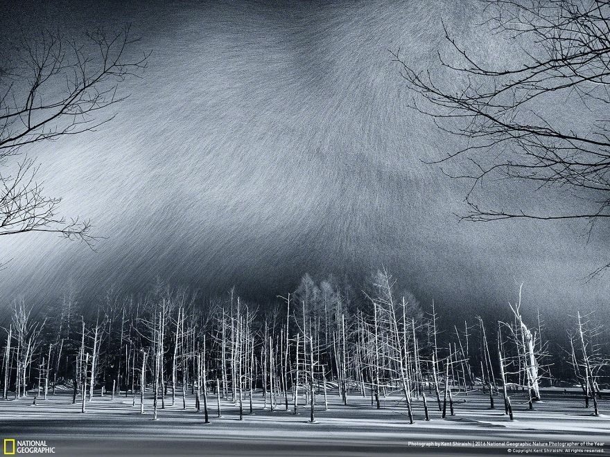 15 fantasztikus felvétel a NatGeo fotópályázatának döntős képeiből