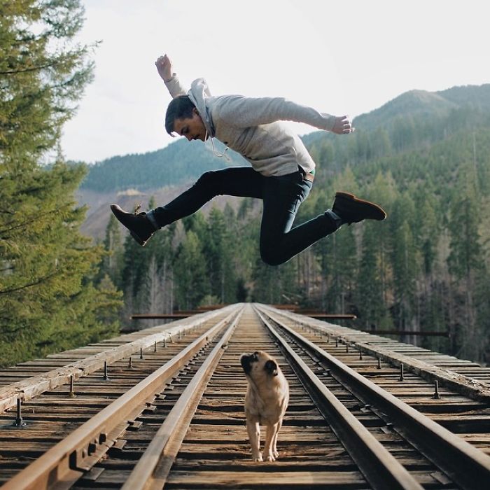 Hihetetlen kalandokba keveredik a cuki mopsz - fotók