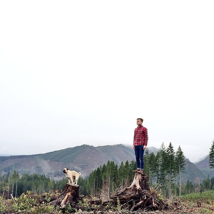 Hihetetlen kalandokba keveredik a cuki mopsz - fotók