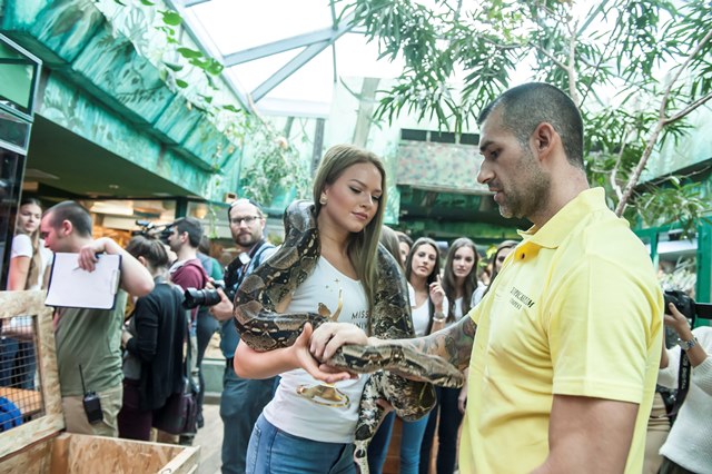 Nehéz napja volt Vajna Timi döntőseinek