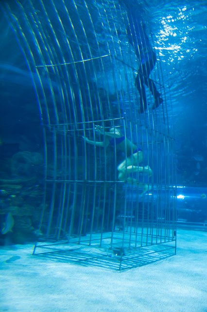 Nehéz napja volt Vajna Timi döntőseinek