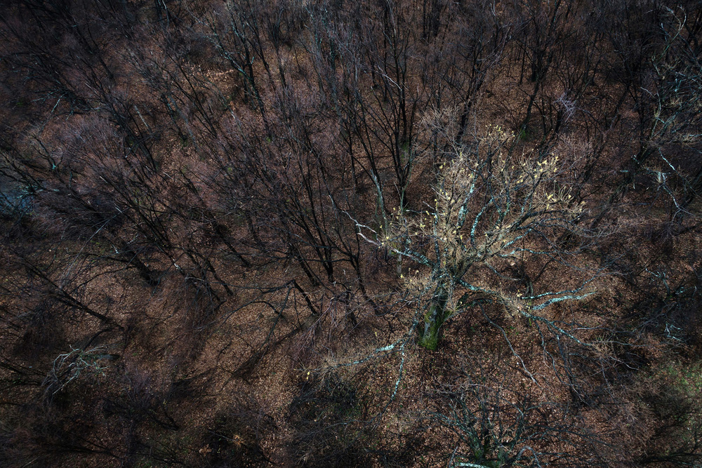 Ezek Európa új határai - fotók