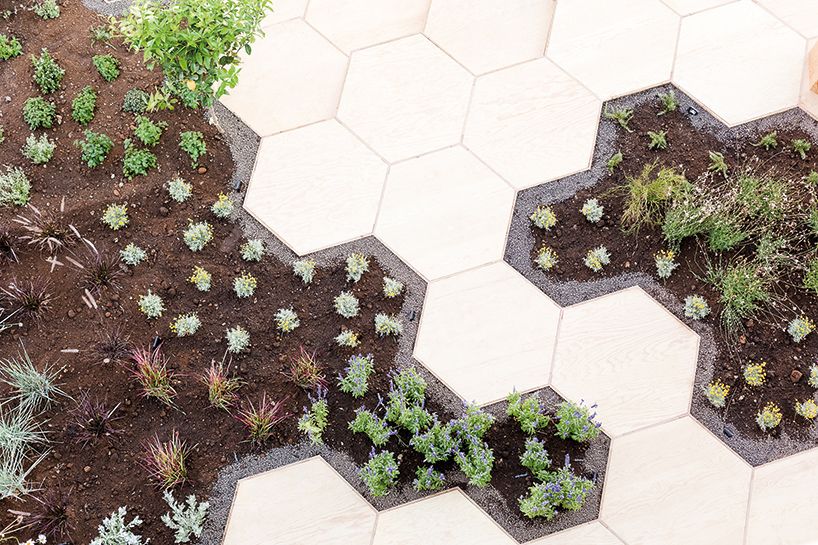 Ez a méhsejt alakú városi veteményeskert a leginspirálóbb dolog, amit ma láthatsz