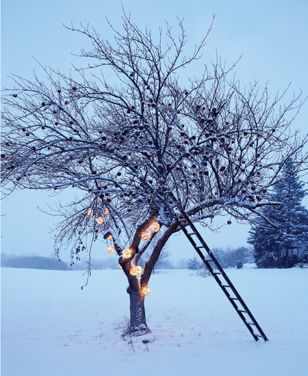 Fotó: houseandhome.com