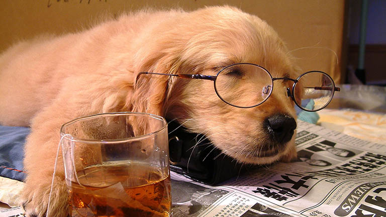 5 alattomos ok, ami a fáradtságod mögött állhat