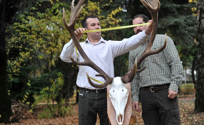 A13,81 kiló, CIC pontja pedig 236,82, amellyel magas