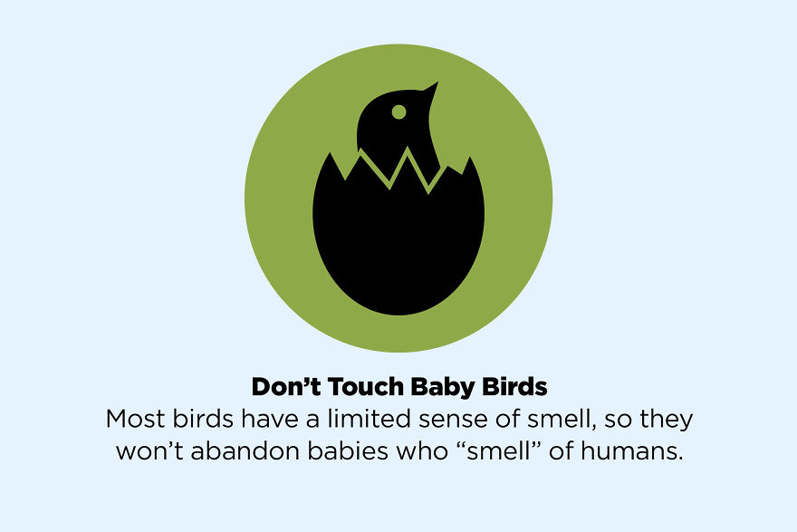 8 ismert tény, ami valójában egyáltalán nem igaz