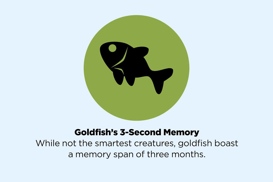 8 ismert tény, ami valójában egyáltalán nem igaz