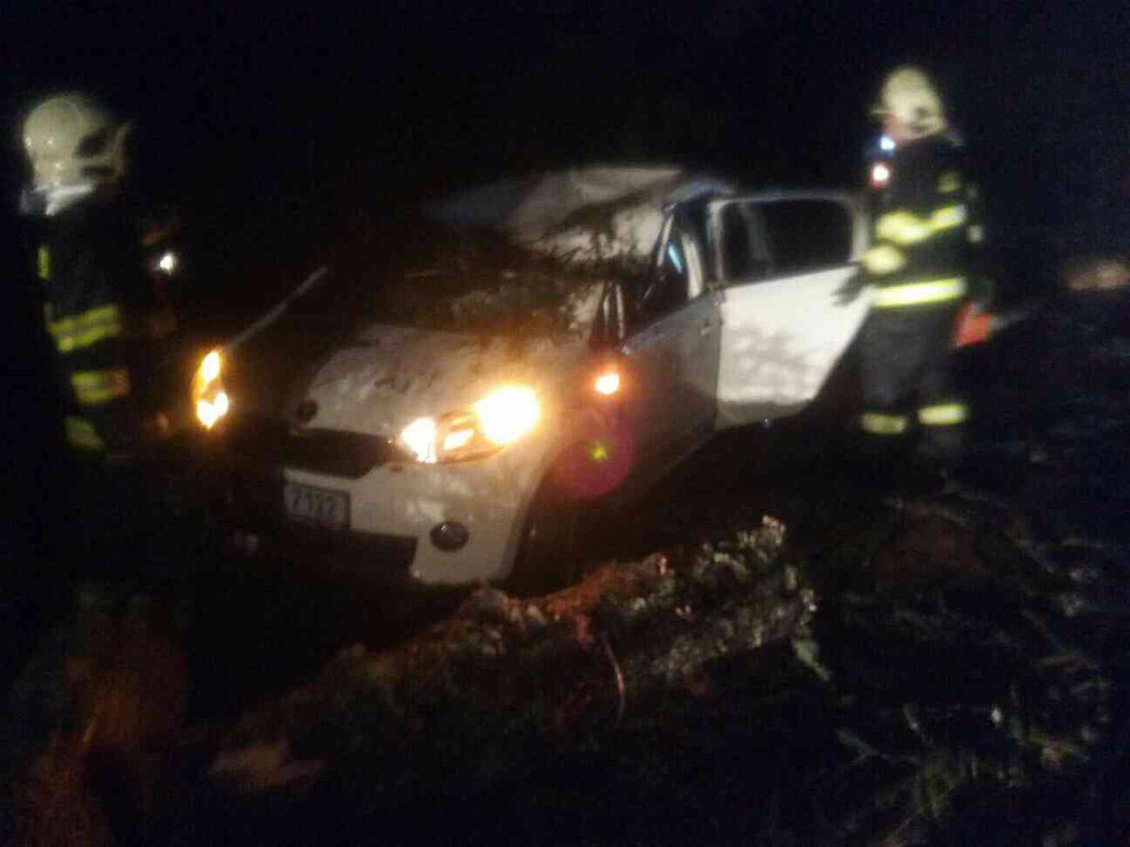 Fát döntött az autóra a szél, újra kellett éleszteni a bennülőt