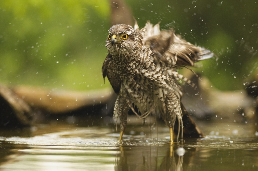 A világ gyönyörű! – küldd be kedvenc fotódat a CEWE pályázatra! (X)