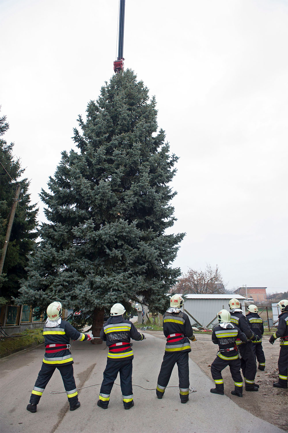 MTI Fotó: Lakatos Péter