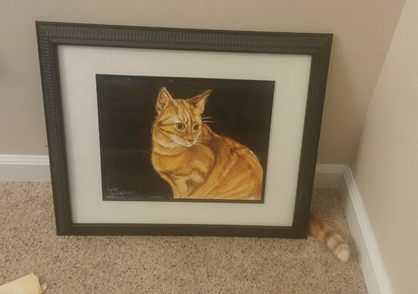 10 macska, aki az álcázás nagymestere - vicces fotók 10 macska, aki az álcázás nagymestere - vicces fotók