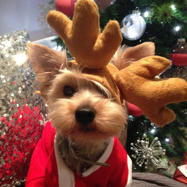 10 csalhatatlan jel, hogy a karácsony megszállottja vagy