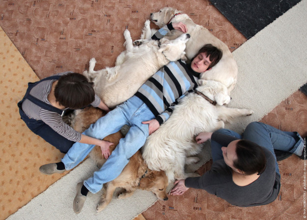 Ezek a kutyás képek bebizonyítják, hogy van mennyország a Földön