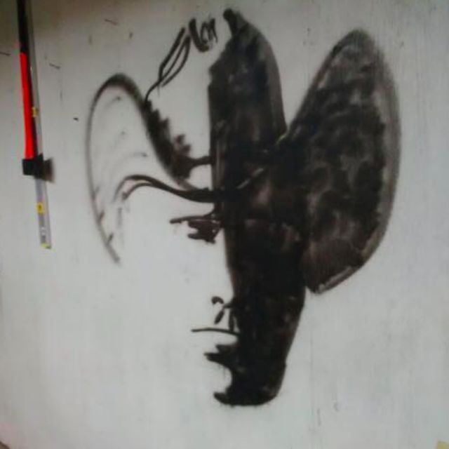 Látod, mi van a képen? Mert akkor elképesztően kreatív vagy!