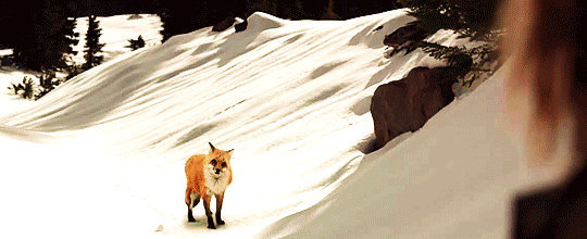 7 érv amellett, hogy a magány nem is olyan rossz dolog 7 érv amellett, hogy a magány nem is olyan rossz dolog