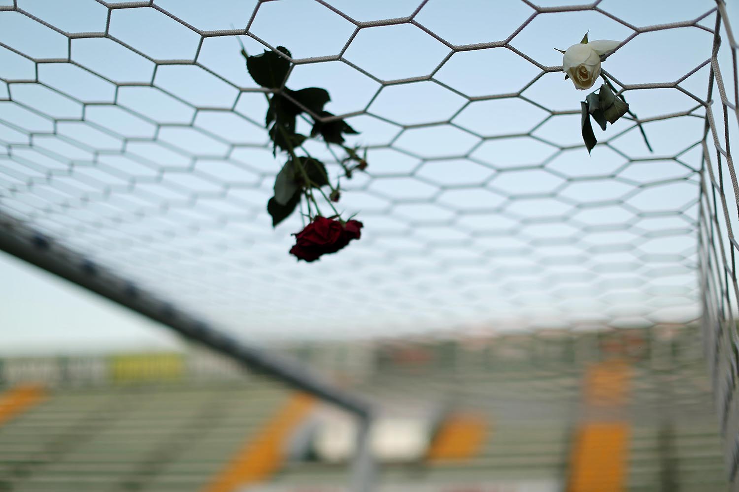 Így gyászolják a lezuhant gép brazil focistáit - megrendítő fotók Így gyászolják a lezuhant gép brazil focistáit - megrendítő fotók