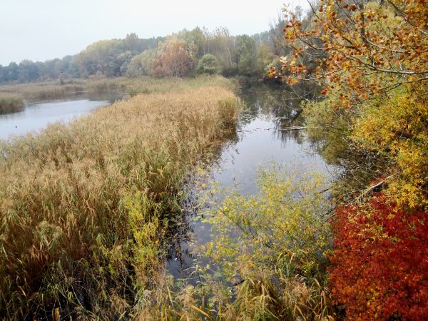 Csallóközi rokokó és slow food 