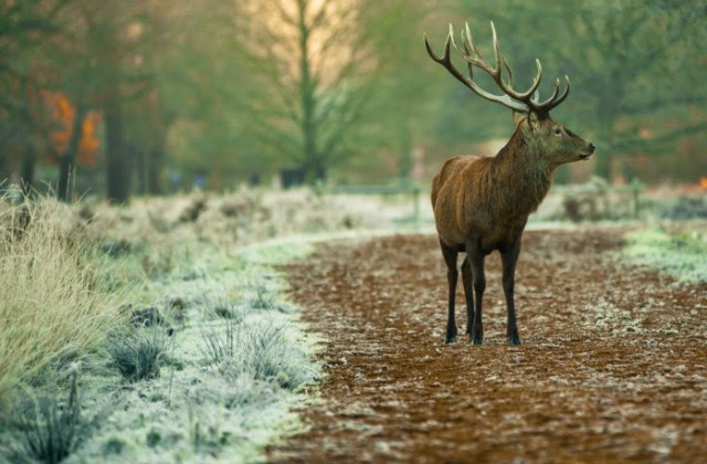 Harkány 3 természeti csodája