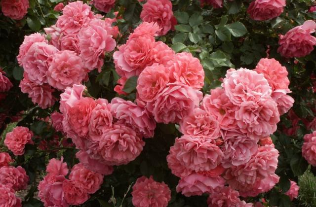 Miskolc 4 legszebb természeti látványossága 