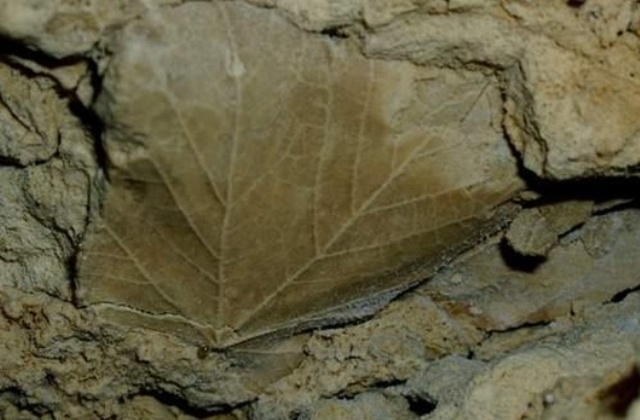 Miskolc 4 legszebb természeti látványossága 