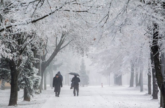 Fotó: Varga György - MTI