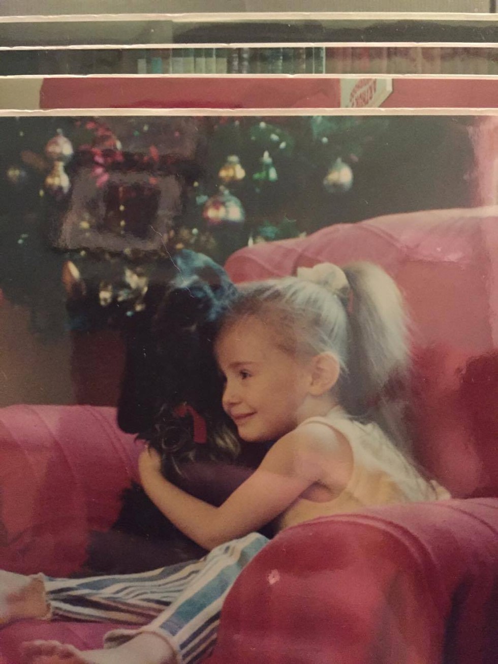 Előrehozta a család a karácsonyt, hogy beteg kutyájukkal ünnepelhessenek