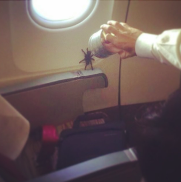 10 utas, aki rémálommá tette a repülést - vicces fotók