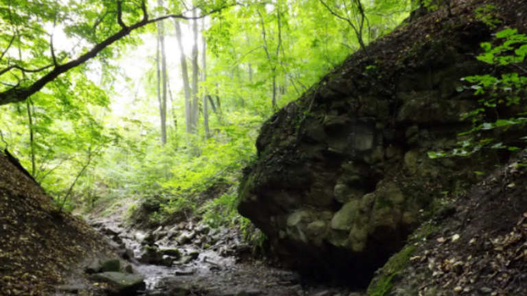 Kép forrása: ramszakadek.hu