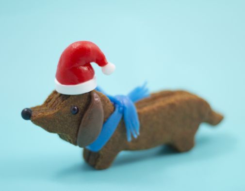 Ezt kell megsütnie minden tacskómániásnak idén karácsonykor