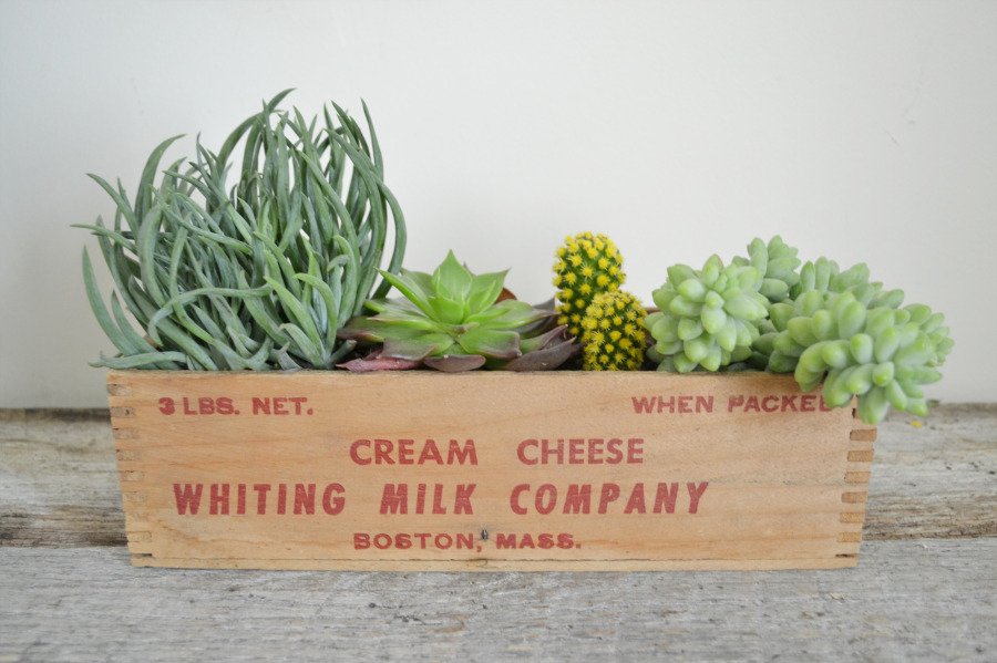 12 DIY karácsonyi ajándék, ami csak ránézésre tűnik drágának