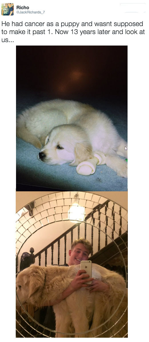 10 dolog, ami bebizonyítja, hogy 2016 mégsem volt olyan szörnyű