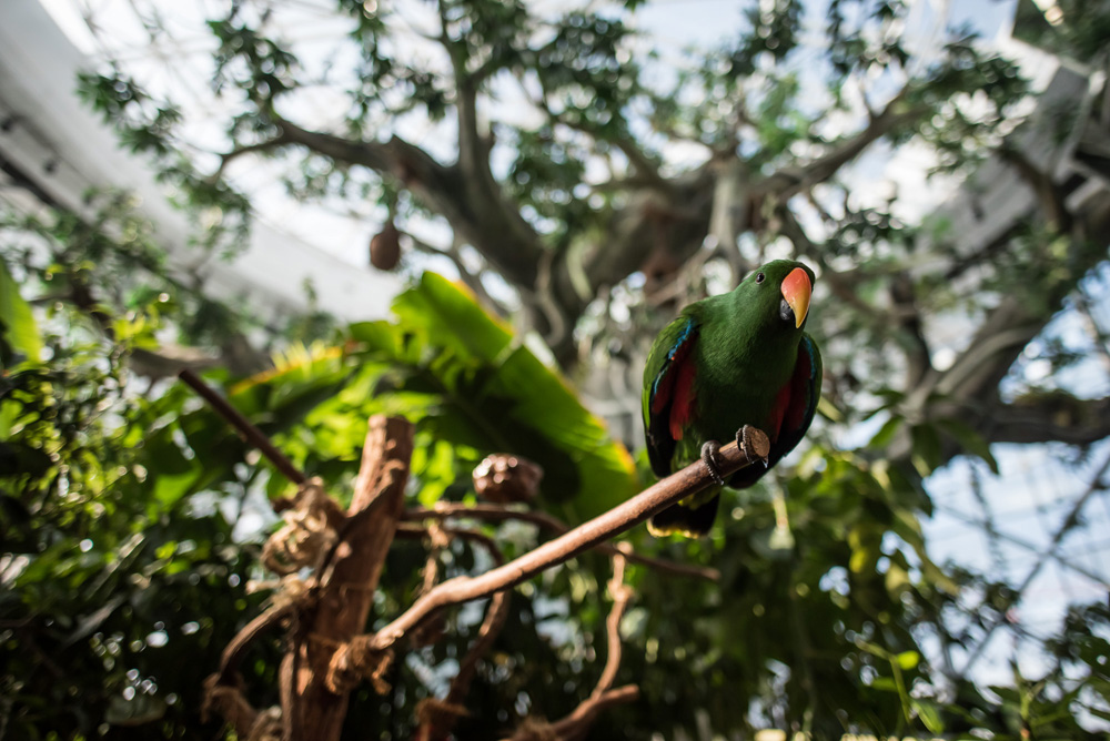 Utazás Dubajba Utazás Dubajba