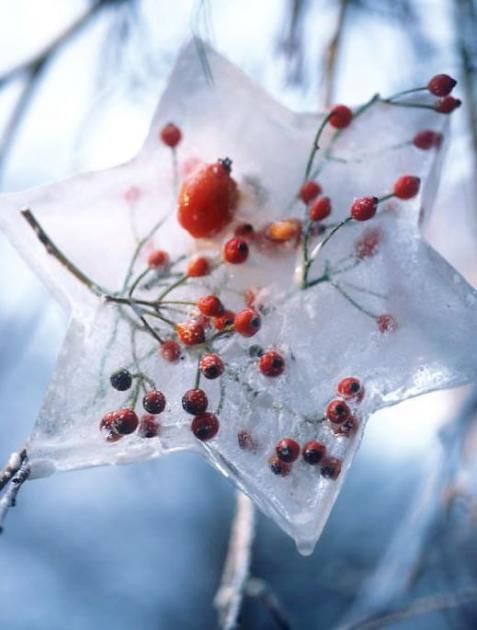 Csodaszép jégvarázs a kertben