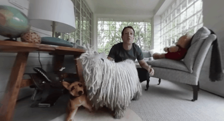 Mark Zuckerberg a lányát videózta, a kutya beletrollkodott