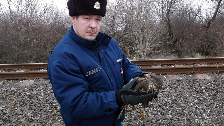 Biztos kezekben - Fotó: police.hu