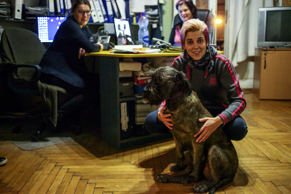 Krízis autó az utcán