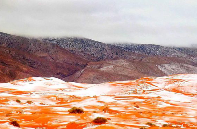 Havazott a Szaharában - fotók