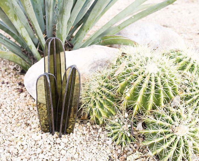 Pozsgások üvegből - azoknak, akik még kaktuszt sem tudnak gondozni Pozsgások üvegből - azoknak, akik még kaktuszt sem tudnak gondozni