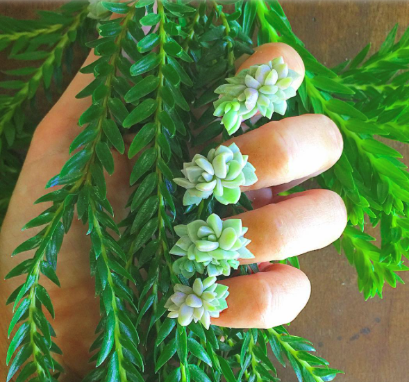 6 rémes szépségtrend, aminek remélhetőleg végleg búcsút inthetünk 2017-re