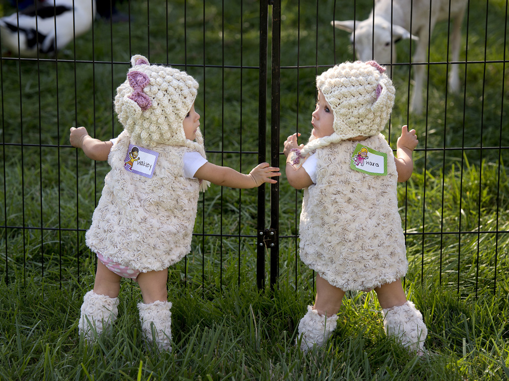 Már Mózsinak is hívhatod a gyereked