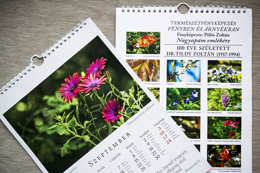 Zozó a Down-szindrómás fotós