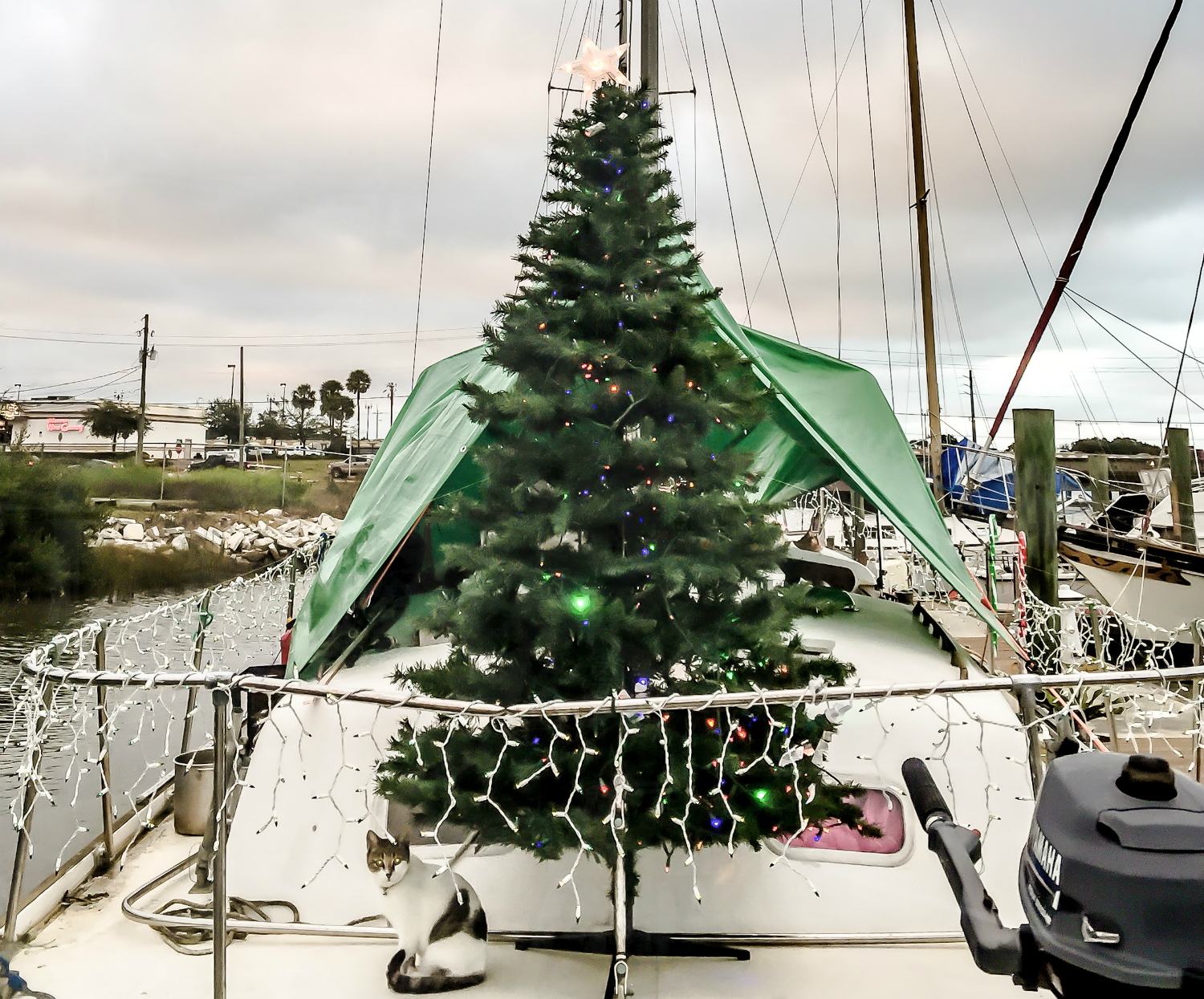 Ilyen a karácsony plusz 30 fokban - fotók Ilyen a karácsony plusz 30 fokban - fotók