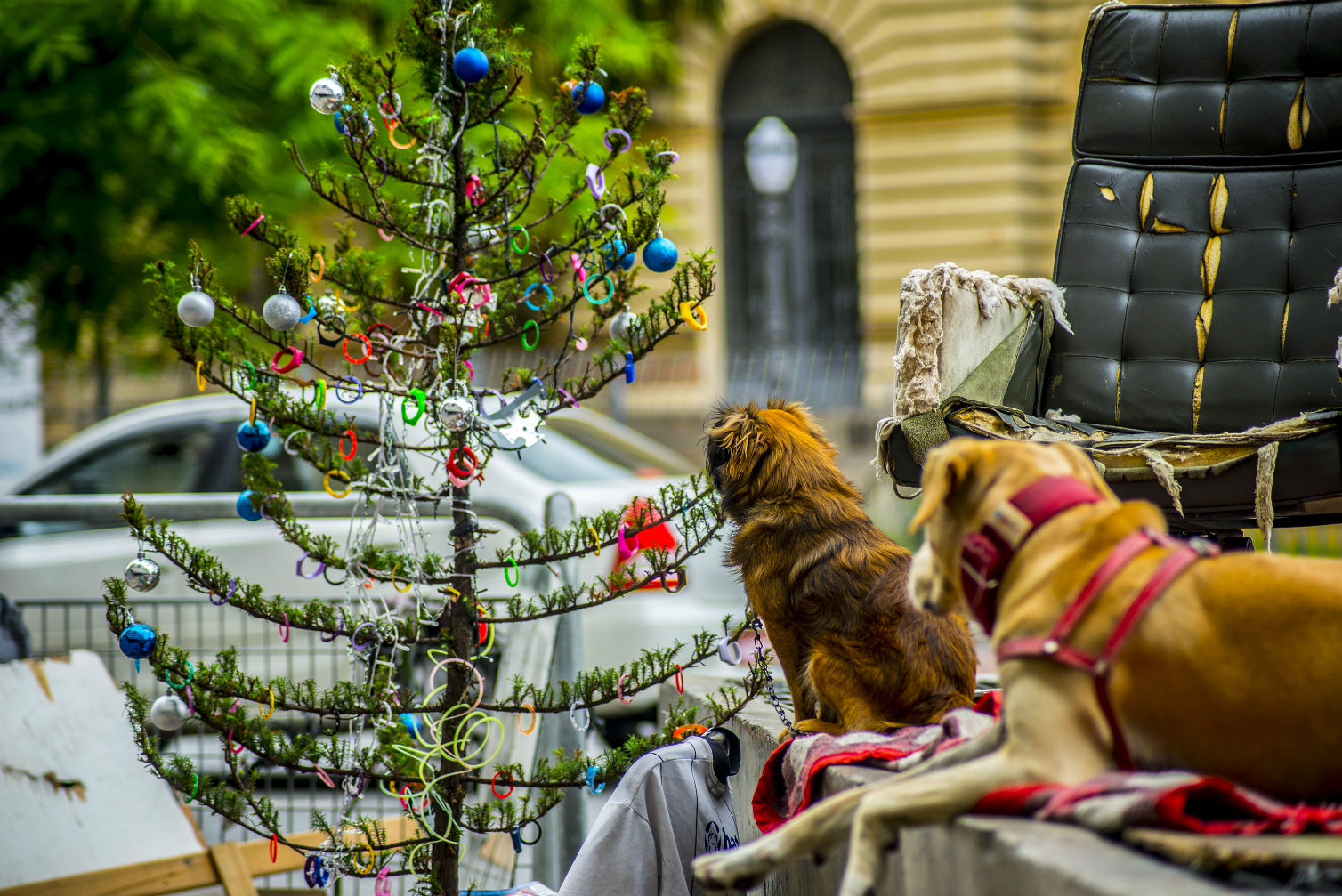 Ilyen a karácsony plusz 30 fokban - fotók Ilyen a karácsony plusz 30 fokban - fotók