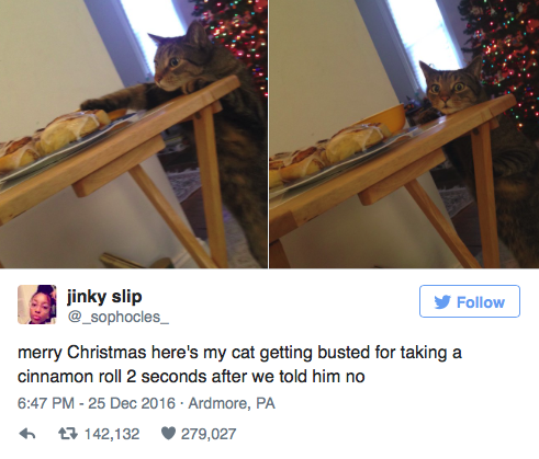 Vicces fotó: így néz a macska, akit lopáson kapnak