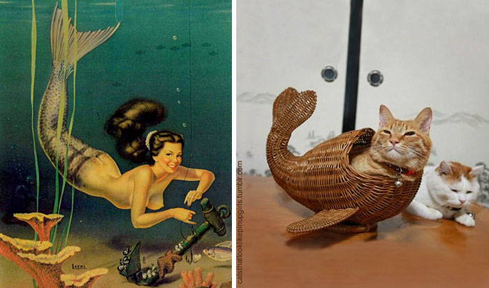 Nincs dögösebb a pin-up modellekként pózoló macskáknál