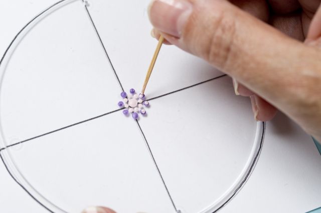 Fotó: Kurdi Zoltán