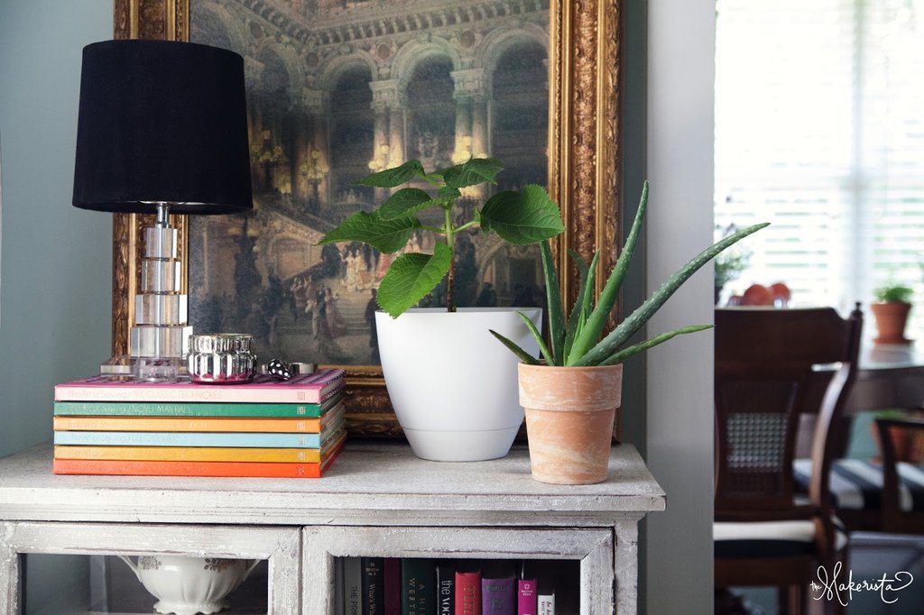 8 hasznos tipp a gyönyörű és egészséges növényekért