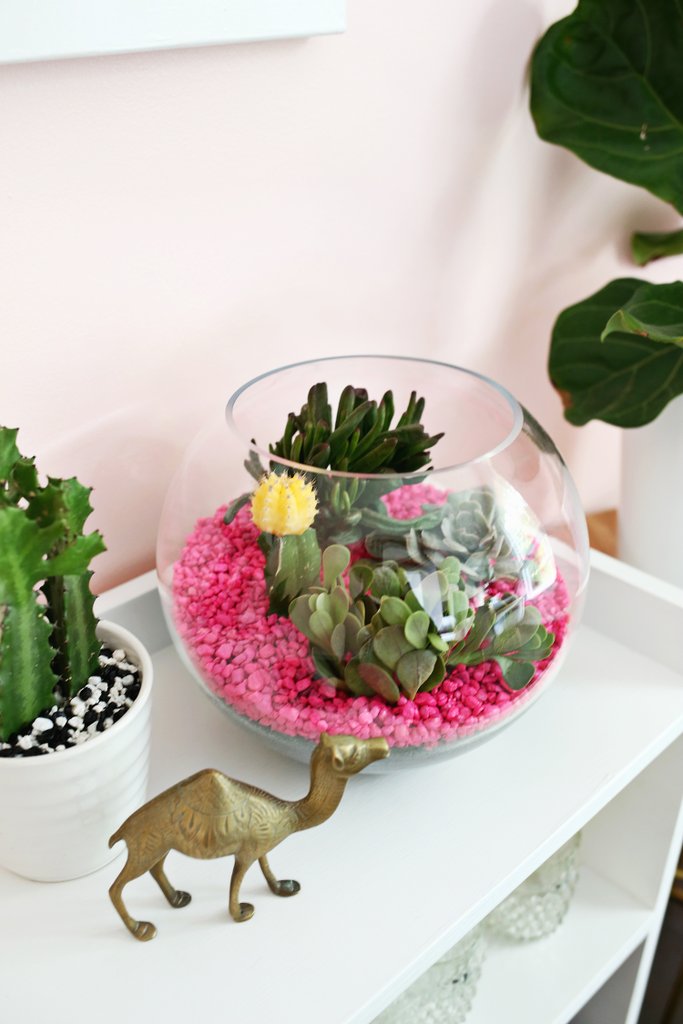 8 hasznos tipp a gyönyörű és egészséges növényekért